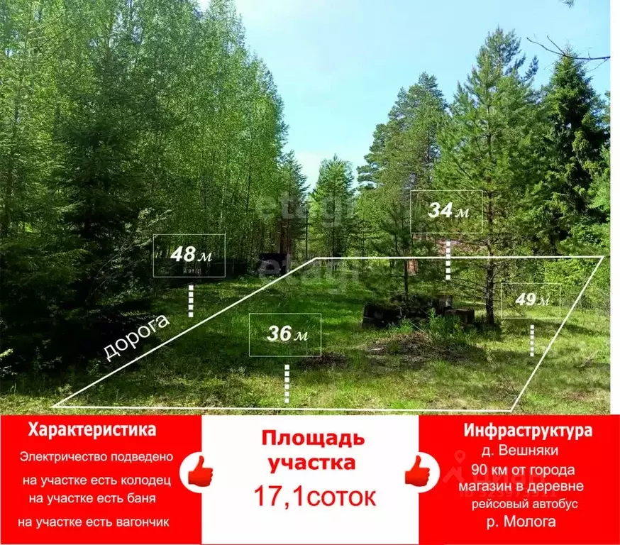 Участок в Вологодская область, Череповецкий район, д. Вешняки  (17.1 ... - Фото 2