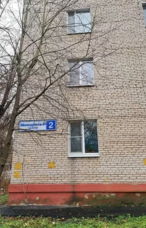 3-комнатная квартира: Пушкино, микрорайон Мамонтовка, Молодёжный ... - Фото 2