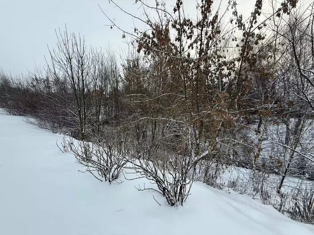 Участок в Московская область, Подольск городской округ, д. Малое ... - Фото 2