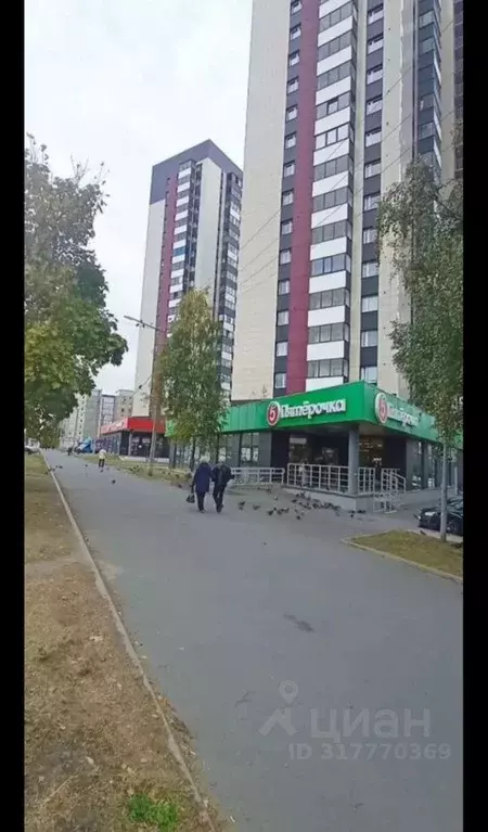 Студия Карелия, Петрозаводск Лососинское ш., 38А (32.5 м) - Фото 0