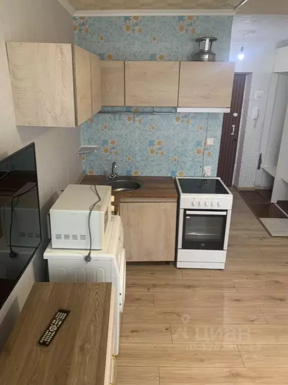 Студия Пермский край, Пермь ул. Геологов, 11/2 (18.4 м) - Фото 2