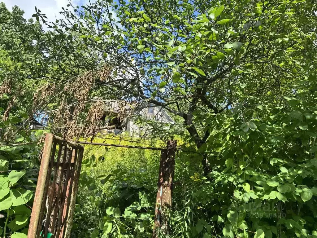 Дом в Брянская область, Брянский район, Снежское с/пос, пос. Верный ... - Фото 2