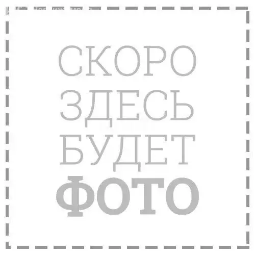 Участок в Колыванский район, садовые участки Руслан (10 м) - Фото 2