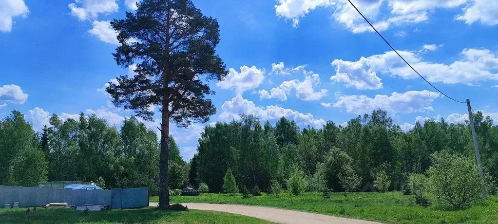 Участок в Московская область, Дмитровский муниципальный округ, с. ... - Фото 2