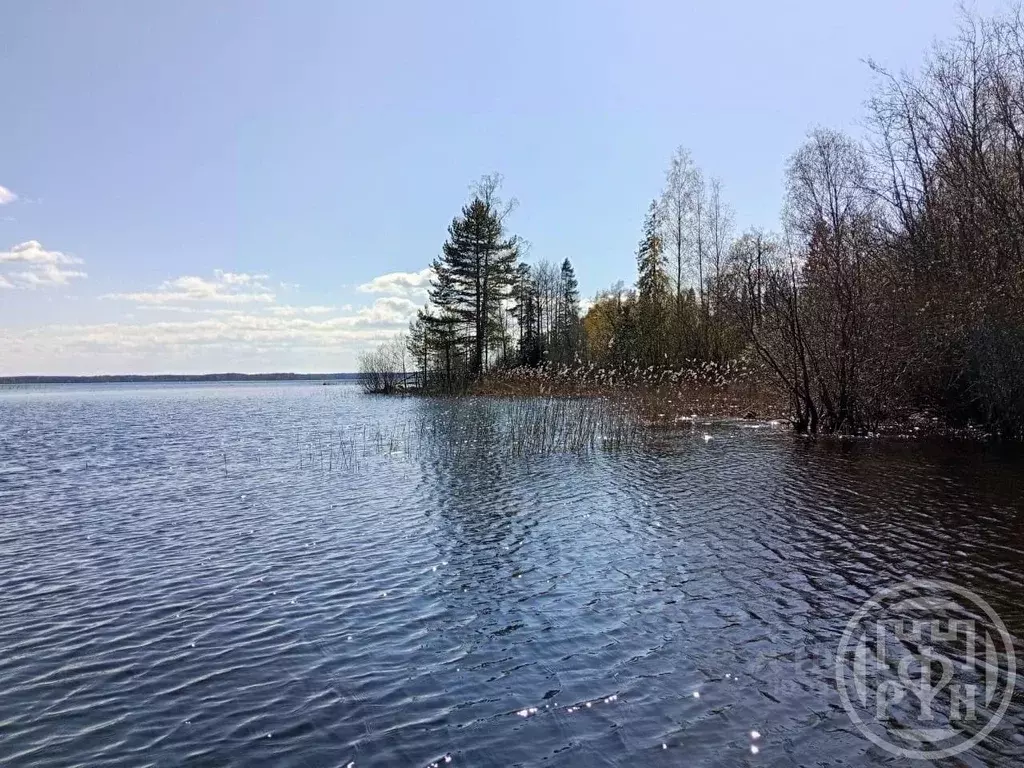 Участок в Ленинградская область, Приозерский район, Ларионовское ... - Фото 2