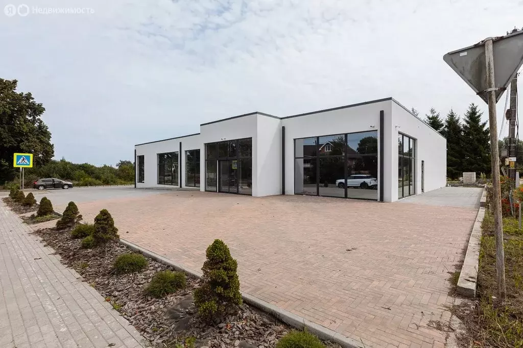 Помещение свободного назначения (570 м) - Фото 2