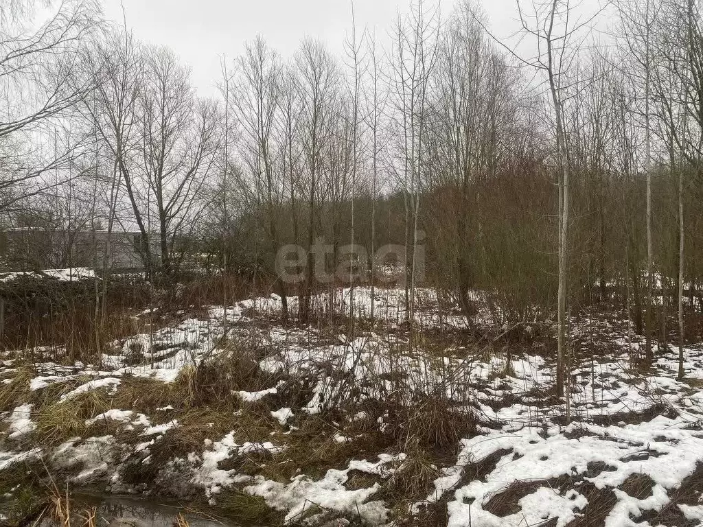 Участок в Ленинградская область, Ломоносовский район, Низинское с/пос, ... - Фото 1