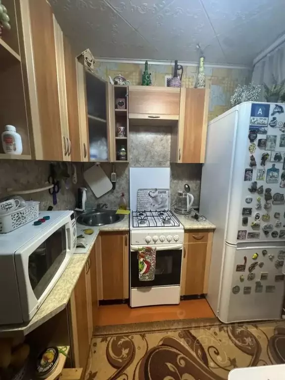 1-к кв. Белгородская область, Губкин ул. Фрунзе, 10Б (30.0 м) - Фото 1