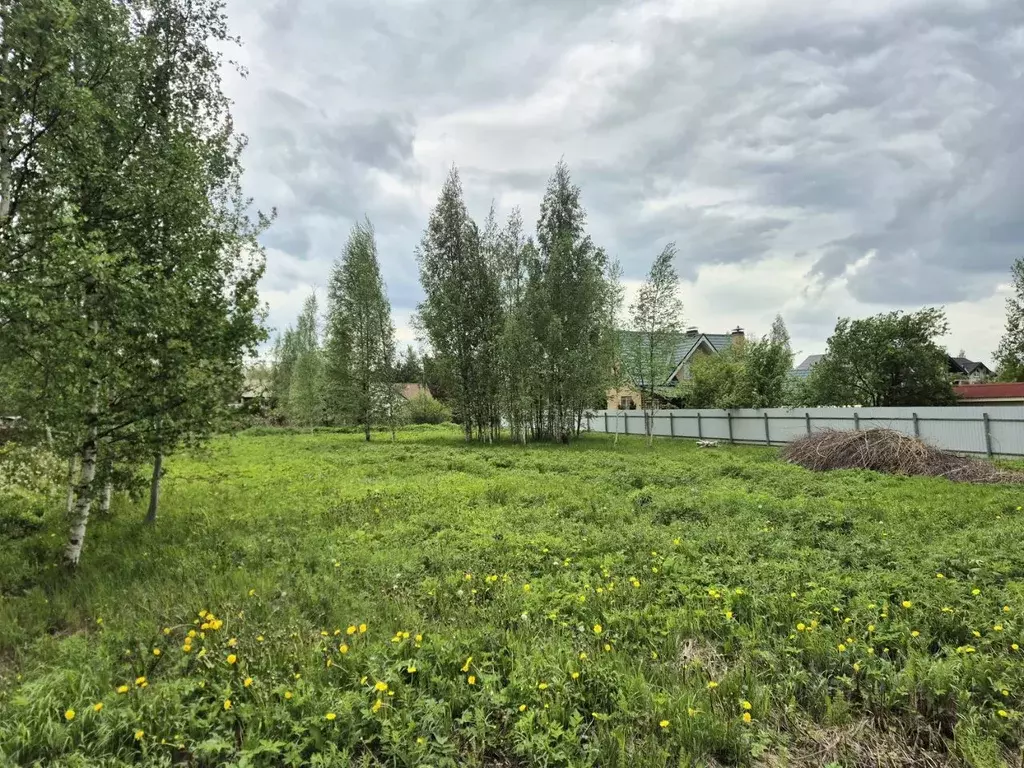 Участок в Санкт-Петербург, Санкт-Петербург, Павловск Звездочка СНТ, ... - Фото 1