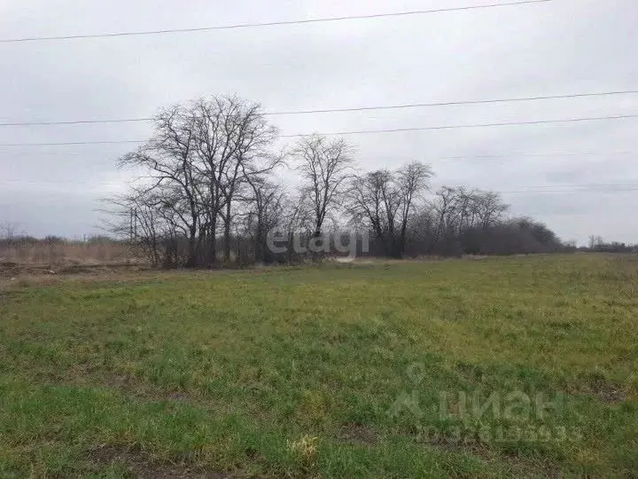 Участок в Краснодарский край, Ейск Ромашковая ул. (6.0 сот.) - Фото 1