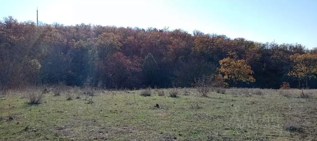 Участок в Крым, Алушта муниципальный округ, с. Приветное ул. Горького, ... - Фото 1