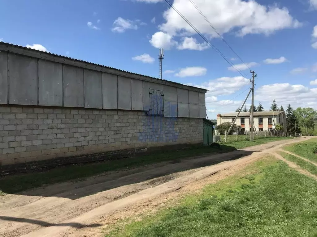 Дом в Чувашия, Красноармейский муниципальный округ, с. Именево ул. ... - Фото 1