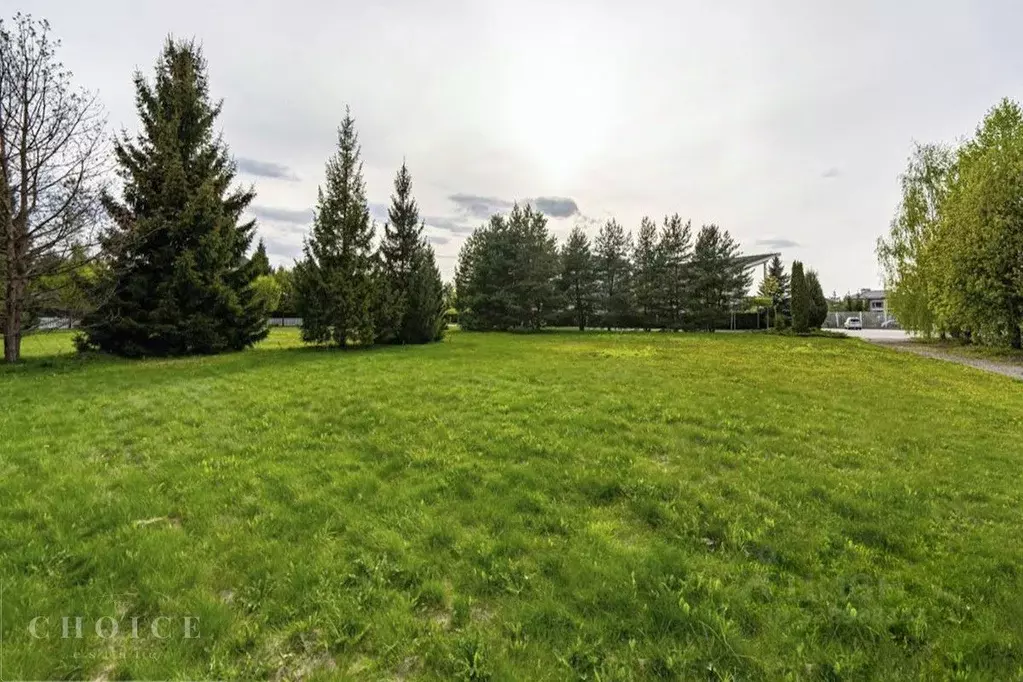 Участок в Московская область, Истра муниципальный округ, д. Чесноково, ... - Фото 2