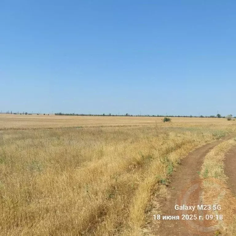 Участок в Крым, Черноморский район, с. Новоивановка  (200.0 сот.) - Фото 1