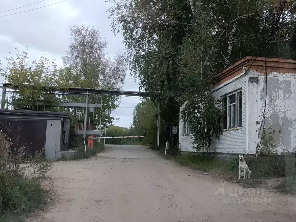 Гараж в Новосибирская область, Новосибирск просп. Дзержинского, 171 ... - Фото 1