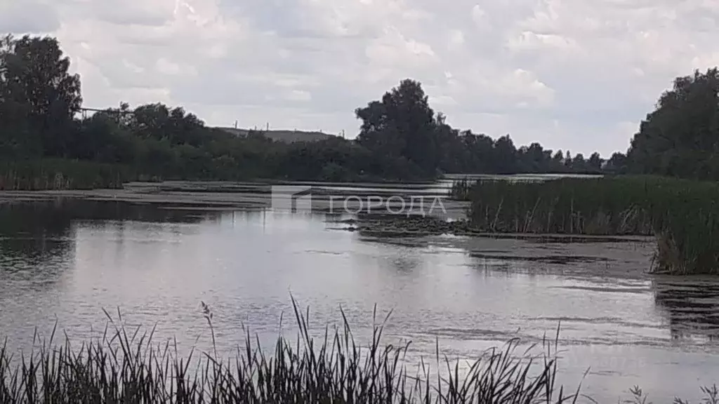 Участок в Новосибирская область, Новосибирский район, Криводановский ... - Фото 0