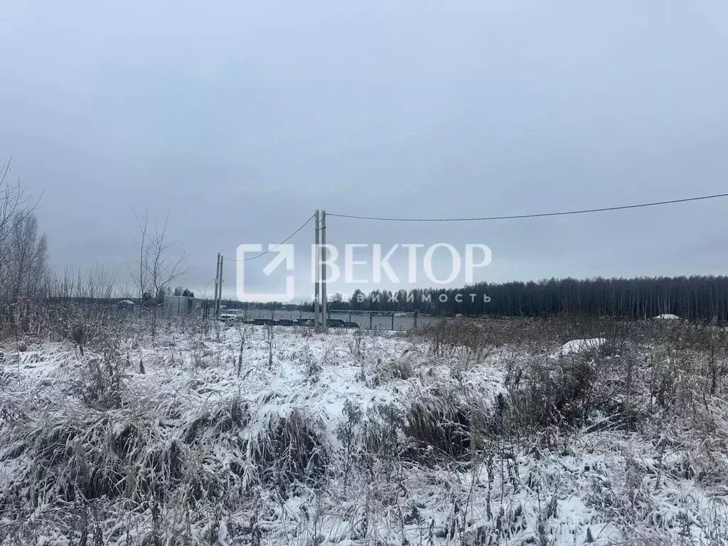 Участок в Костромская область, Красносельский район, Боровиковское ... - Фото 1