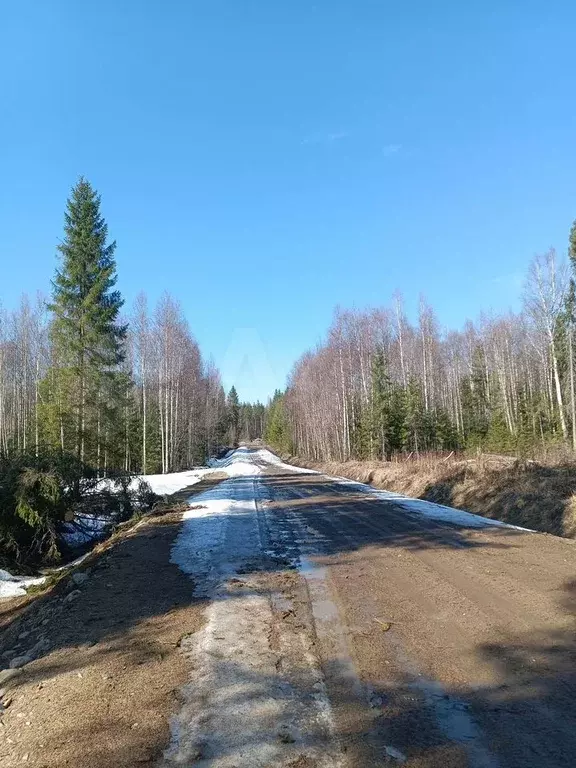 Участок 15 сот. (СНТ, ДНП) - Фото 0