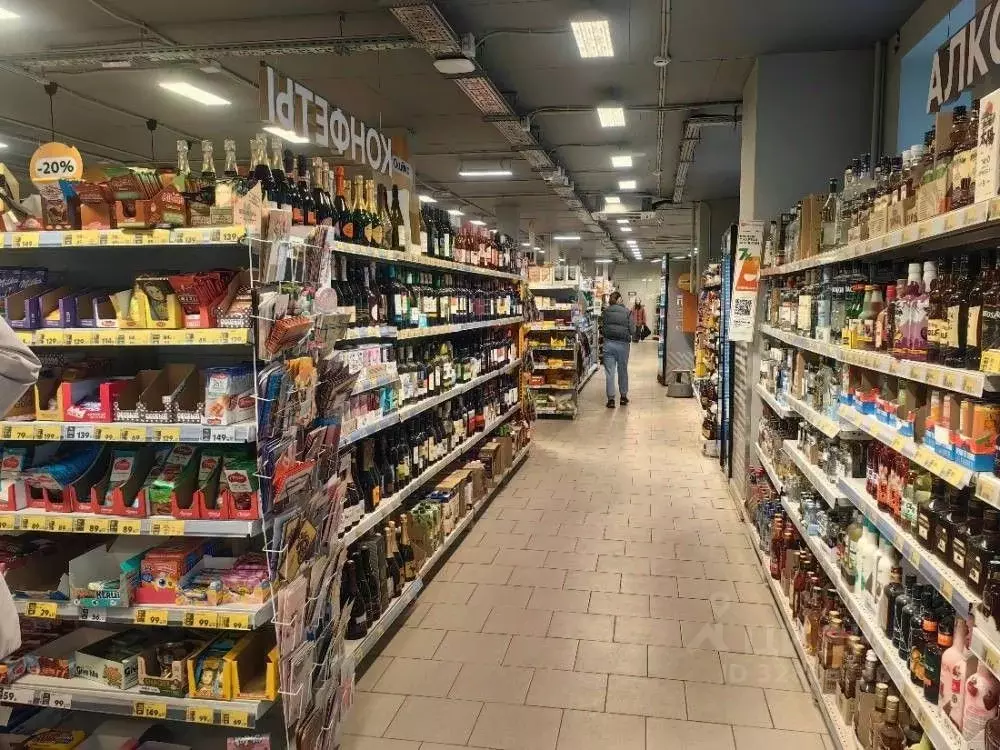 Помещение свободного назначения в Самарская область, Самара ул. ... - Фото 1