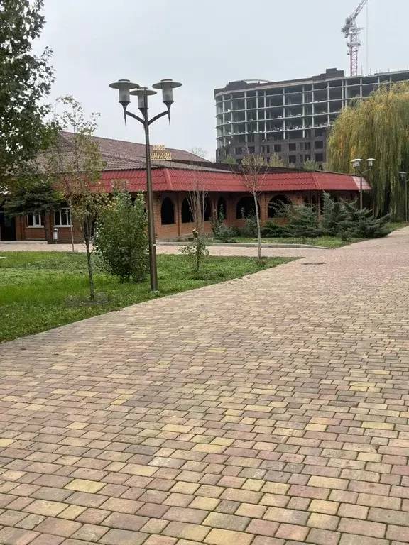 Помещение свободного назначения в Ростовская область, Ростов-на-Дону ... - Фото 1