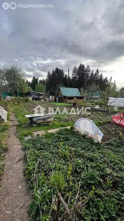 Участок в Пермь, Ягодная улица, 31/38 (4.2 м) - Фото 2
