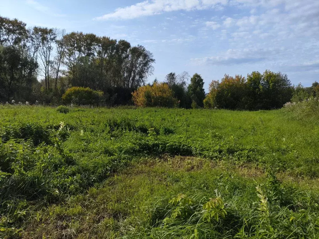 Участок в Пермский край, Осинский городской округ, с. Горы ул. ... - Фото 1