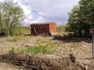 Участок в Амурская область, Благовещенский район, с. Владимировка ... - Фото 0