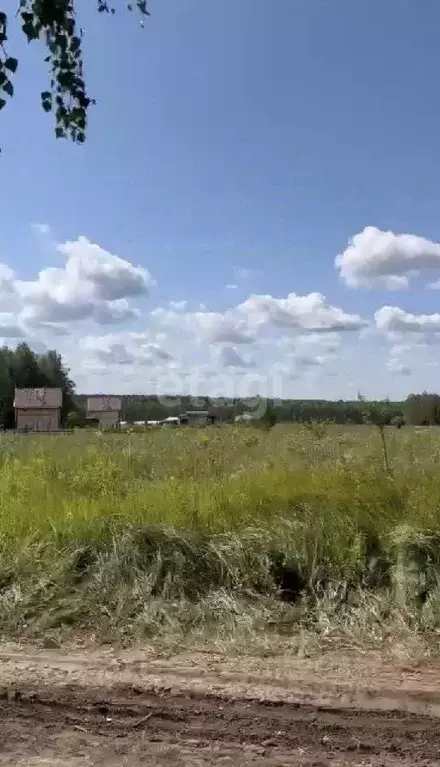 Участок в Тульская область, Веневский район, Центральное муниципальное ... - Фото 1