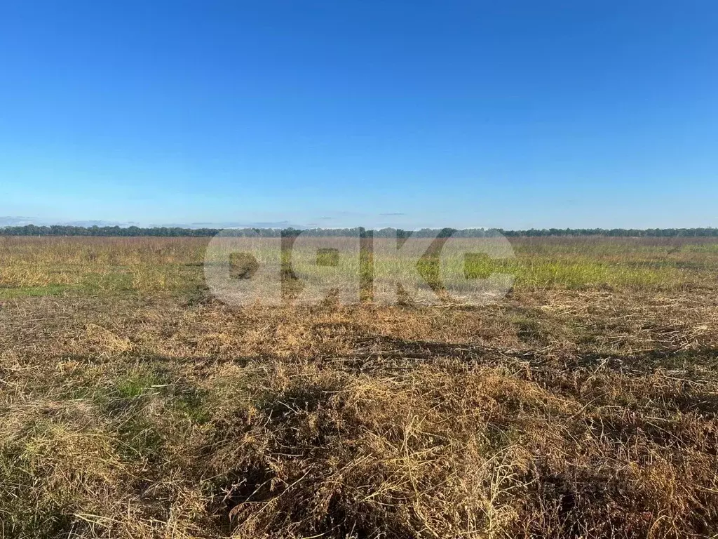 Участок в Краснодарский край, Армавир  (6.0 сот.) - Фото 2