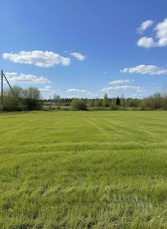 Участок в Пермский край, Краснокамский муниципальный округ, д. Карабаи ... - Фото 1