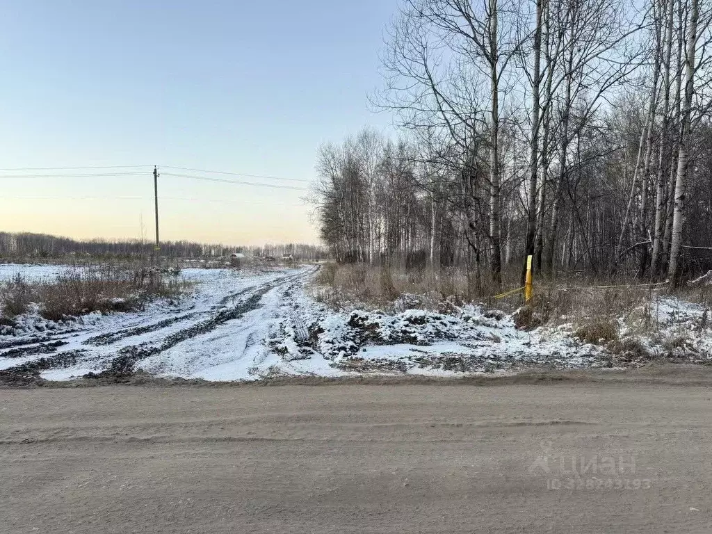 Участок в Тюменская область, Тюменский муниципальный округ, ... - Фото 2
