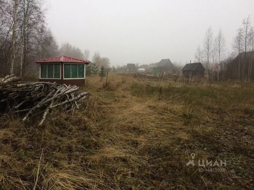 Великие Луки Купить Недвижимость В Переслегино