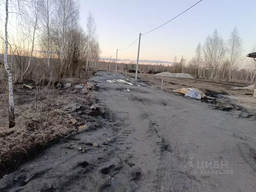 Участок в Брянская область, Брянский район, Снежское с/пос, с. ... - Фото 1