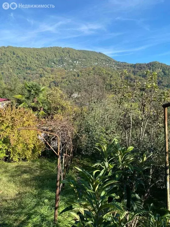 Участок в село Аибга, Аибгинская улица, 19 (20000 м) - Фото 1