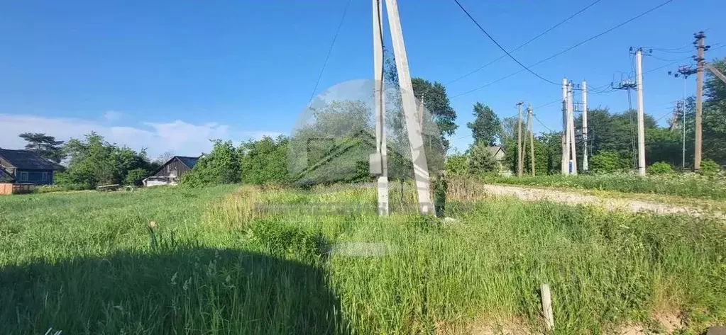 Участок в Новгородская область, Новгородский район, Ракомское с/пос, ... - Фото 1