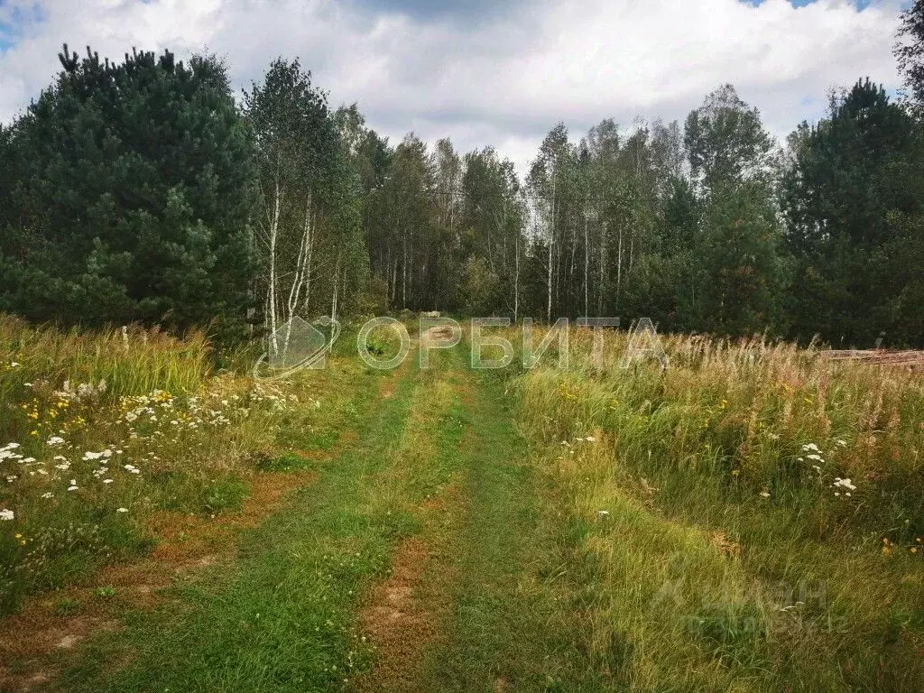 Участок в Тюменская область, Тюменский район, д. Головина  (18.0 сот.) - Фото 0