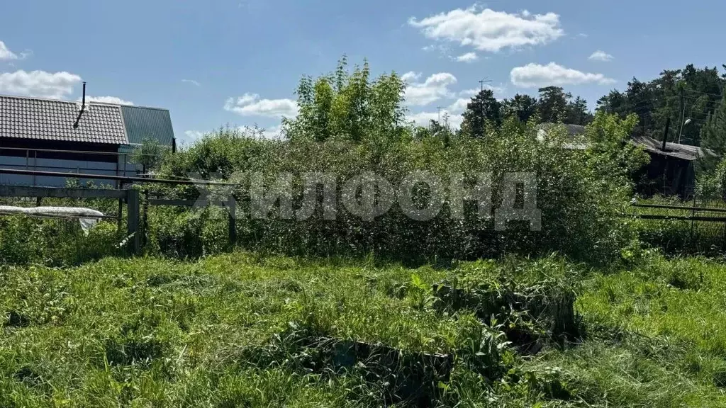Дом в Новосибирская область, Новосибирск ул. Моисеенко, 27 (28 м) - Фото 0