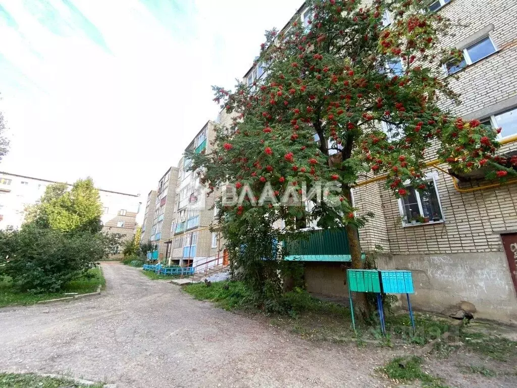 1-к кв. Пензенская область, Сурск Городищенский район, Лесной пер., 7 ... - Фото 0
