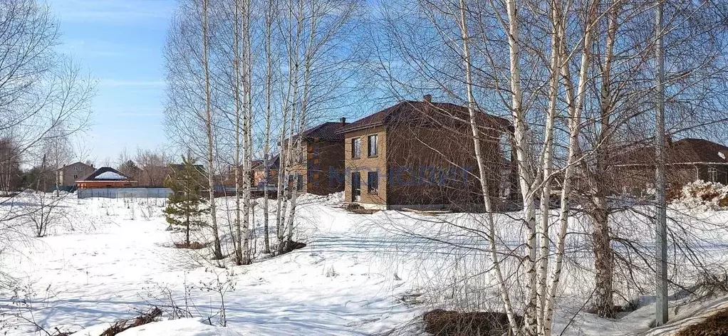 Коттедж в Нижегородская область, Бор муниципальный округ, д. Борисовка ... - Фото 2