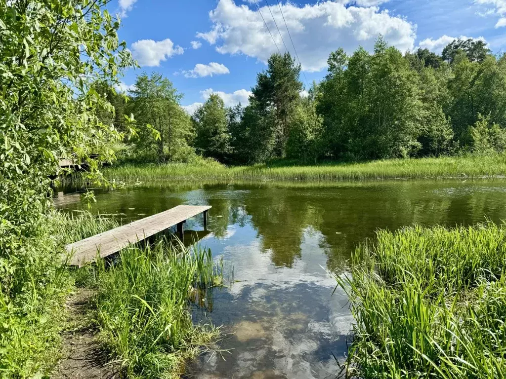 Участок в Ярославская область, Переславль-Залесский городской округ, ... - Фото 0