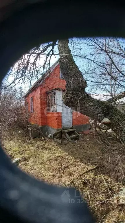 Дом в Ростовская область, Багаевский район, Манычская ст-ца ул. ... - Фото 1