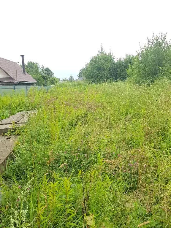 Участок в Тверская область, Тверь Затверецкий бул., 136 (11.2 сот.) - Фото 0