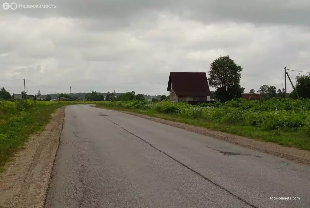 Участок в Волосовский район, Большеврудское сельское поселение, ... - Фото 2