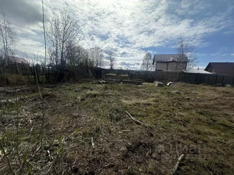 Участок в Пермский край, Усолье Усольский район, ул. Аникина, 120 ... - Фото 1