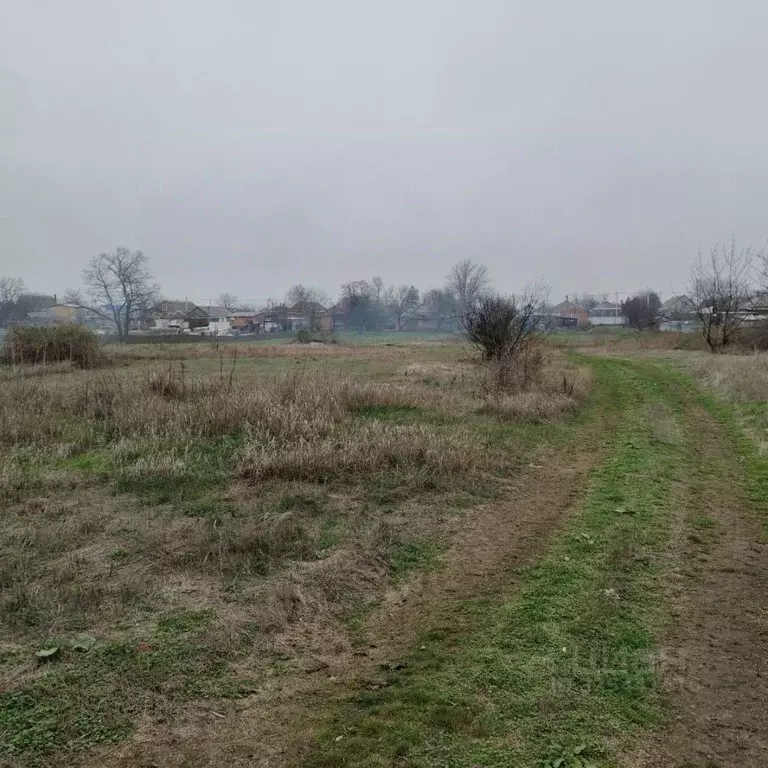 Участок в Краснодарский край, Щербиновский район, с. Глафировка ул. ... - Фото 1