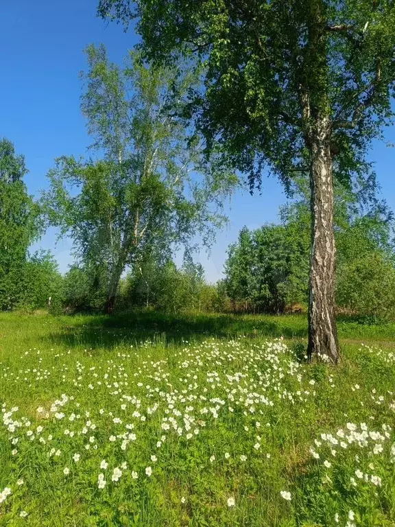Участок 1 сот. (СНТ, ДНП) - Фото 1
