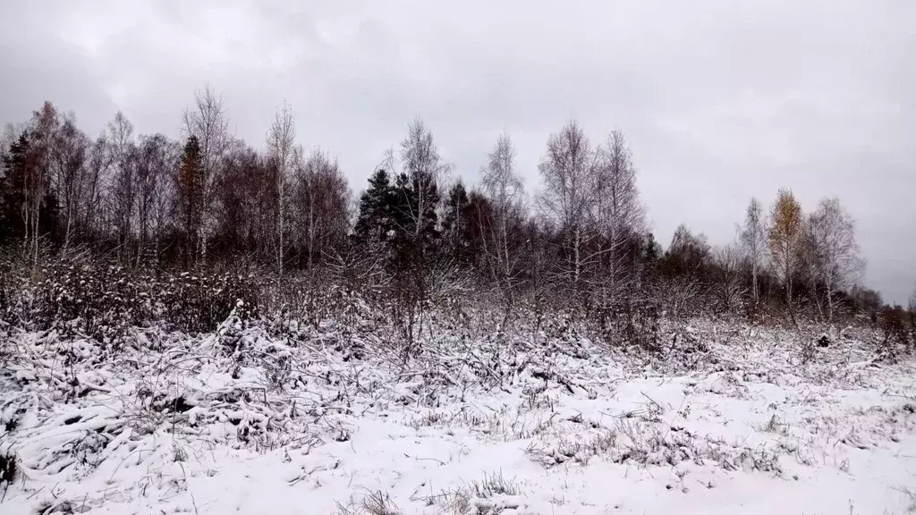 Участок в Московская область, Егорьевск муниципальный округ, д. Панино ... - Фото 0