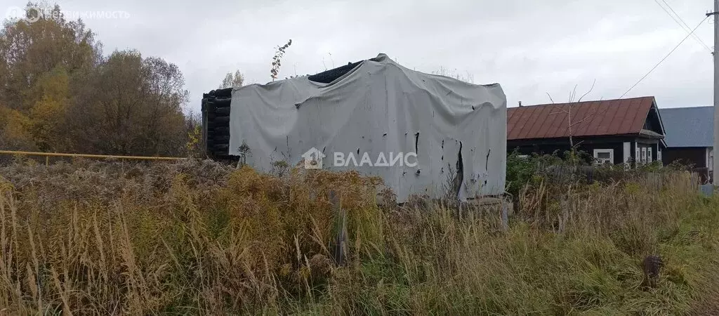 Участок в Владимирская область, Камешковский муниципальный округ, ... - Фото 1