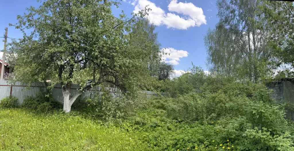 Участок в Московская область, Богородский городской округ, Химик ... - Фото 0