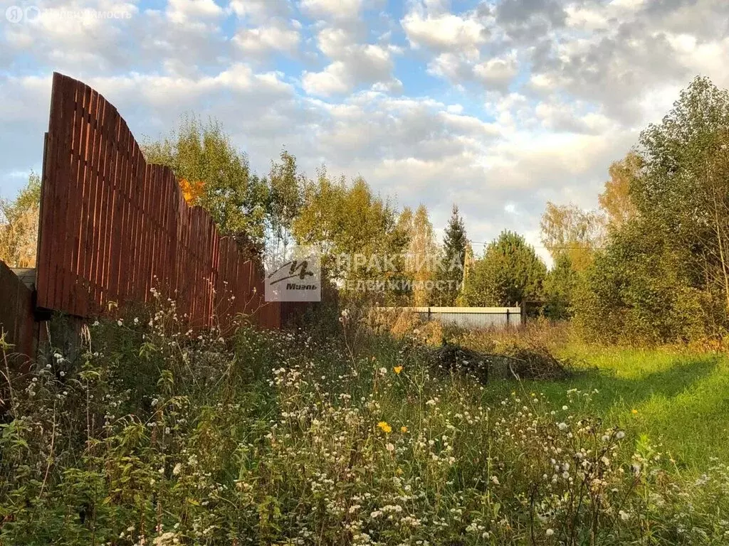 Участок в Московская область, Рузский муниципальный округ, СНТ Анюта ... - Фото 2